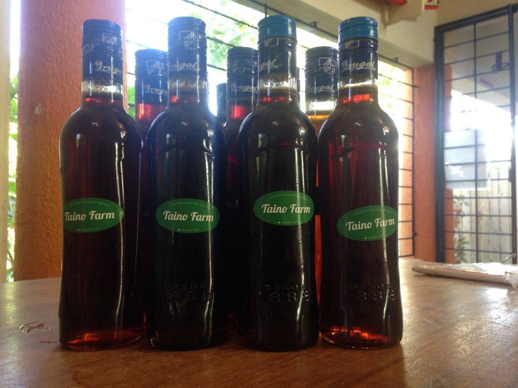 Photo of Taino farm honey in bottles