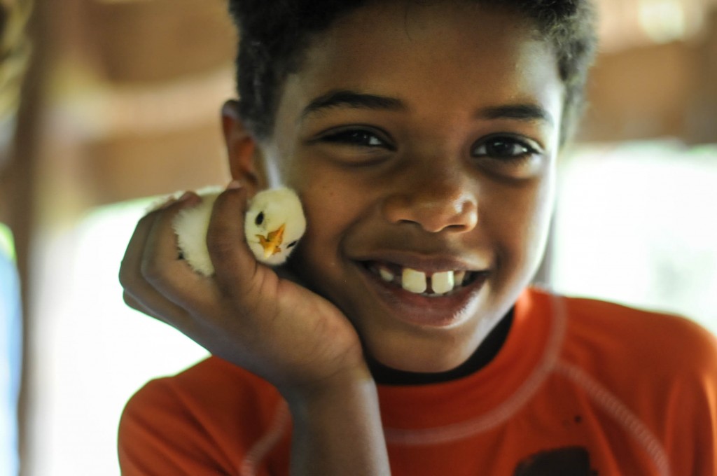 The students had the opportunity to learn about our chickens and hold one of our cute little chicks!