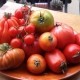 distintas variedades naturales y cultivares de tomate