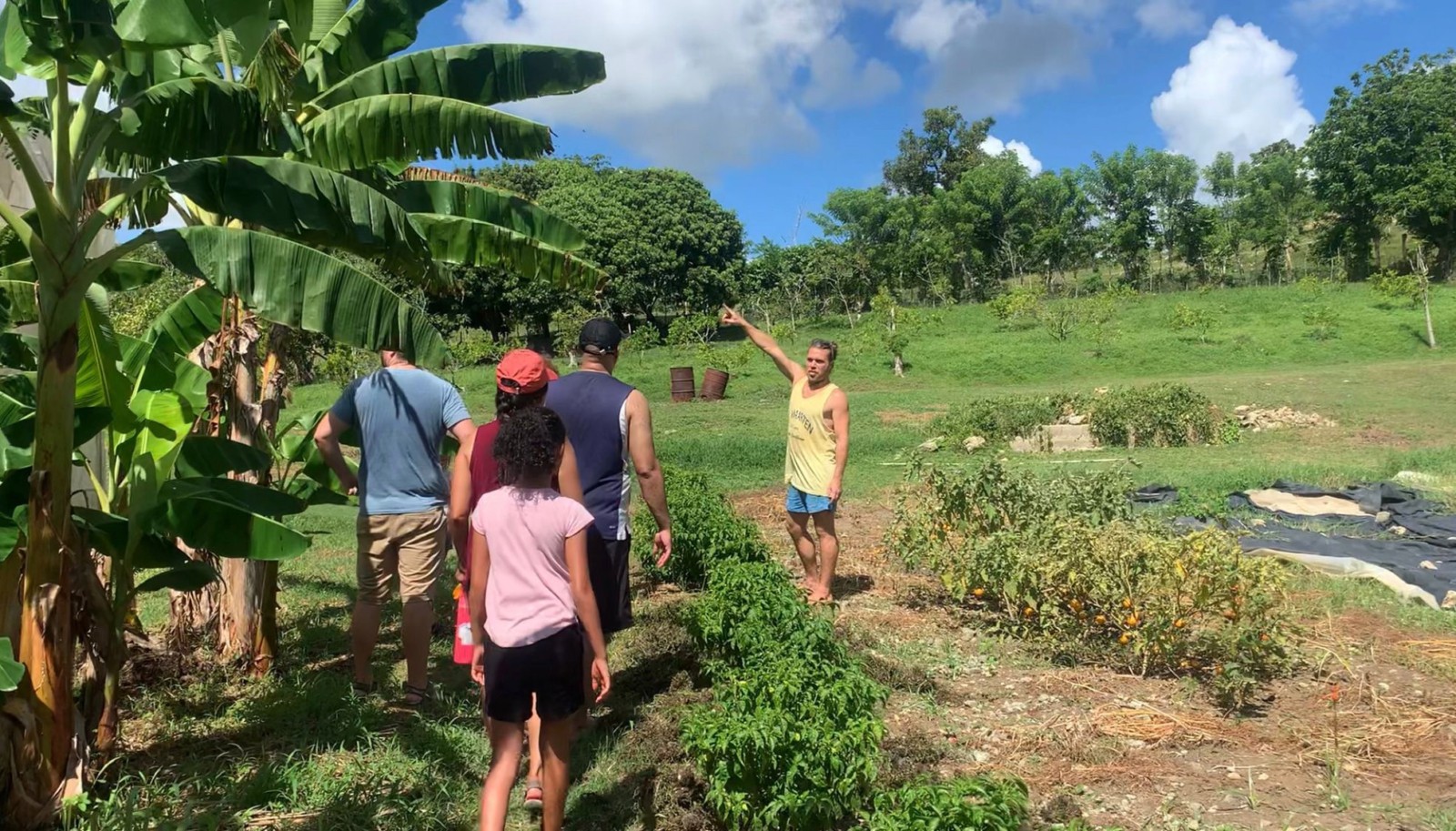 Jetzt Farmtour buchen Taíno Farm